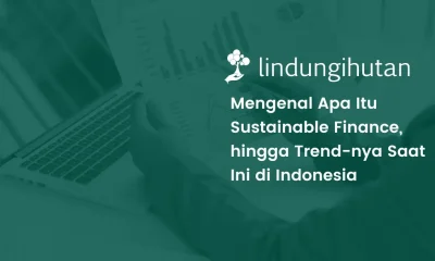 Sustainable finance adalah