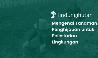 Tanaman penghijauan lingkungan