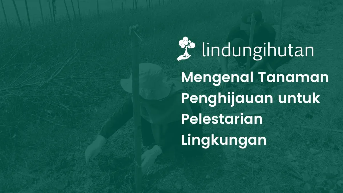 Tanaman penghijauan lingkungan