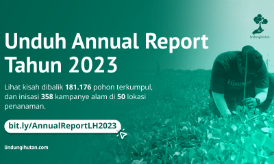 Annual report LindungiHutan