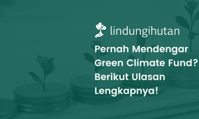 Apa itu green climate fund?