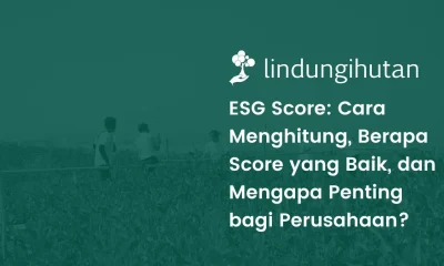 ESG score
