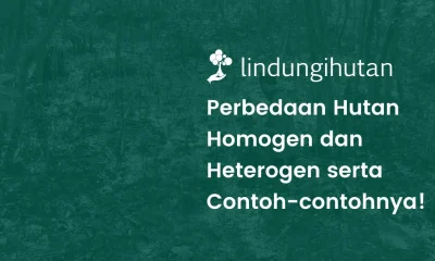 hutan homogen dan hutan heterogen