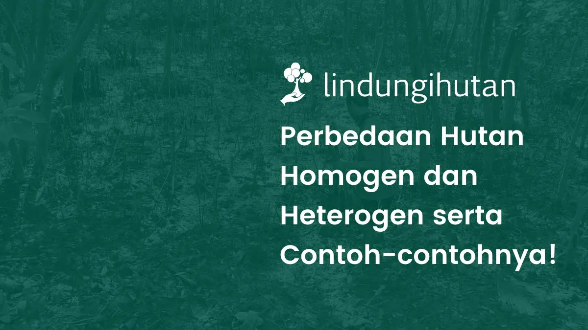 hutan homogen dan hutan heterogen