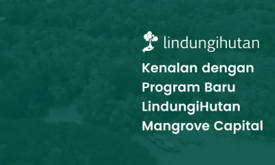 Mangrove capital LindungiHutan