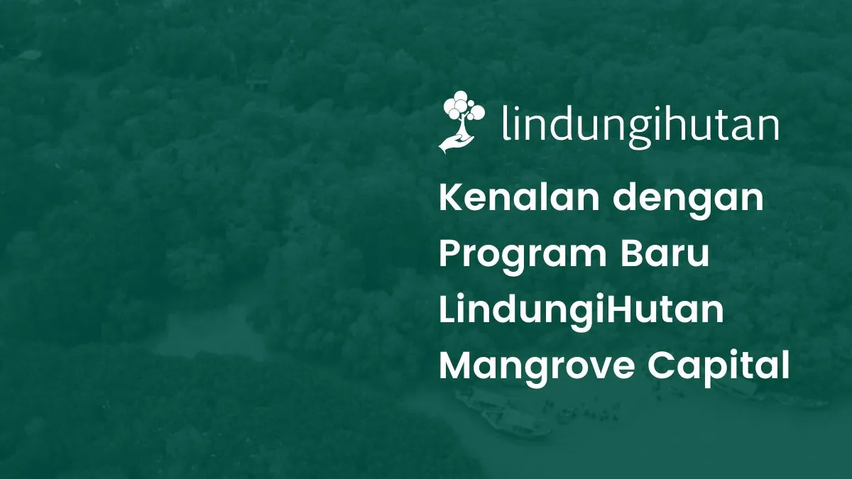 Mangrove capital LindungiHutan