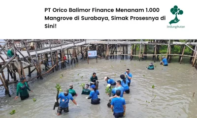 PT Orico Balimor Finance