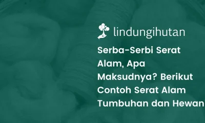 Serat alam