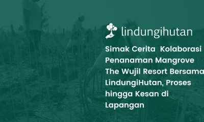 The wujil resort & conventions menanam mangrove di Mangunharjo Semarang-min
