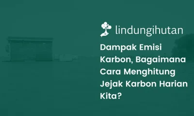 Emisi karbon adalah