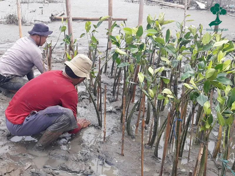 Kerja sama pelestarian lingkungan TISOO dan LindungiHutan