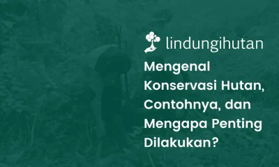 Konservasi hutan dan rehabilitasi