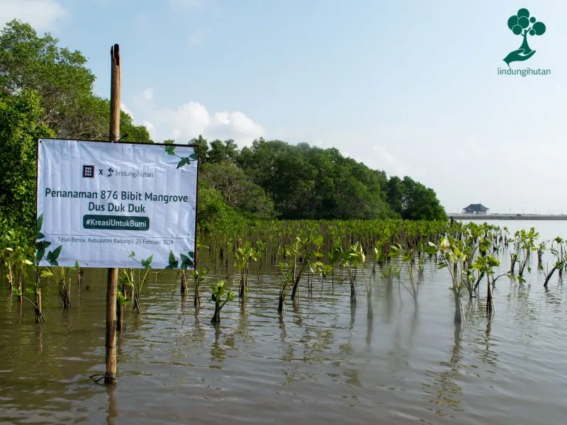 Lokasi penanaman mangrove Teluk Benoa Bali