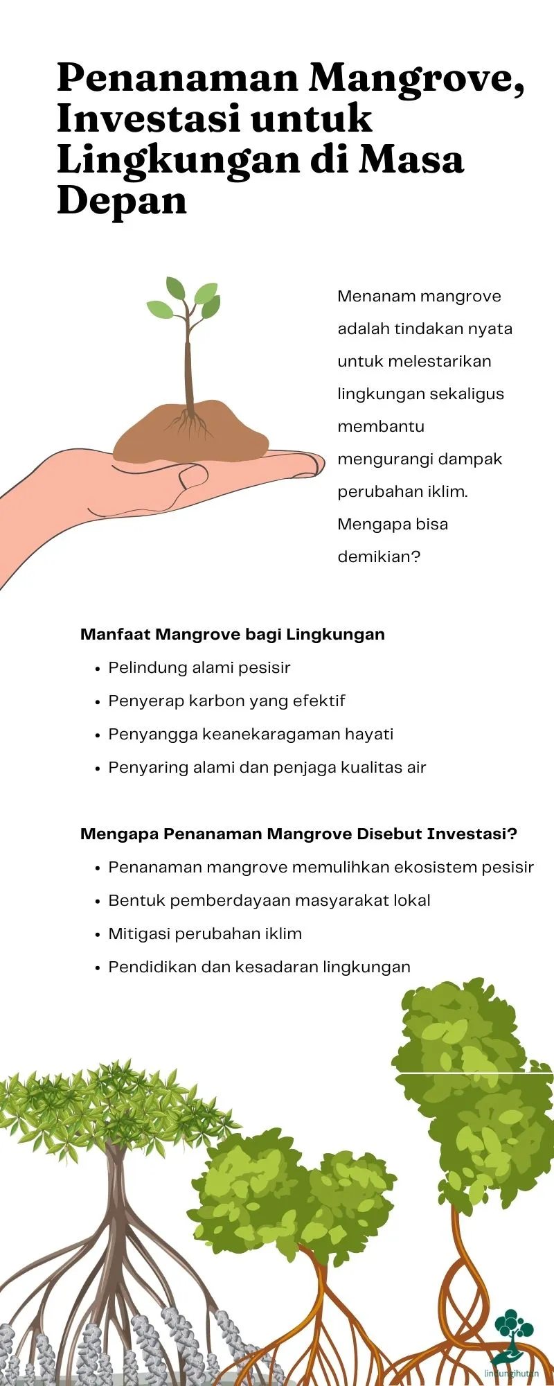 Penanaman mangrove mitigasi perubahan iklim 1