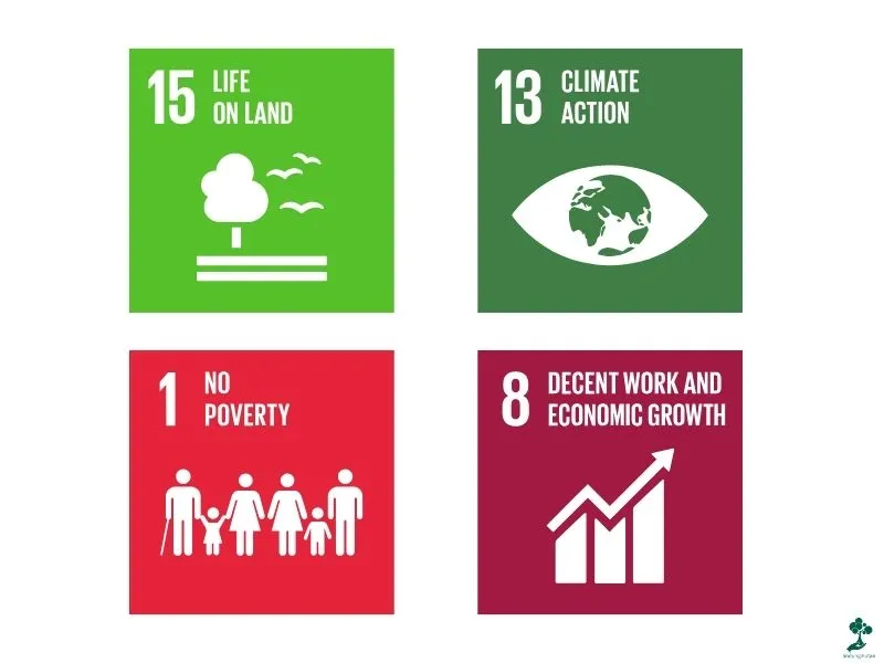 Hasil Kolaborasi Hijau TISOO dan LindungiHutan: Apa yang Terjadi? 86 SDGs 1