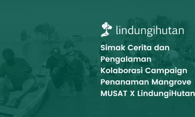 MUSAT menanam mangrove Tambakrejo Semarang