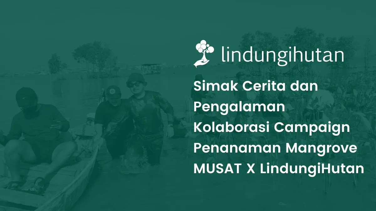 MUSAT menanam mangrove Tambakrejo Semarang