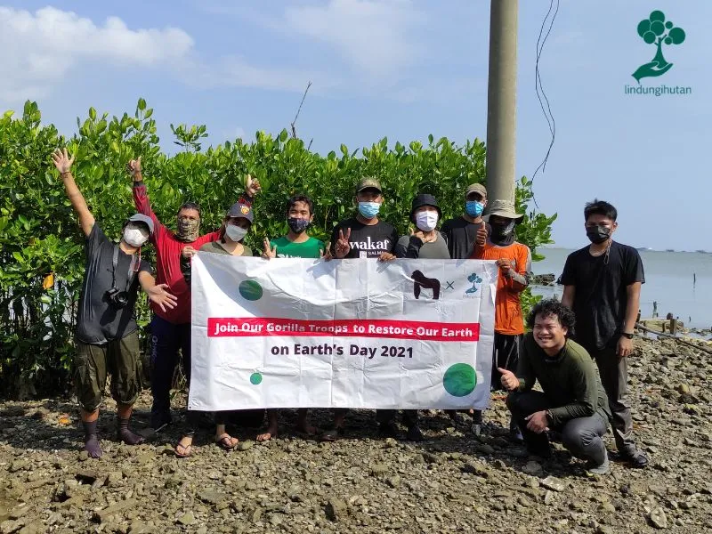 MUSAT menanam mangrove di Pesisir Tambakrejo Semarang