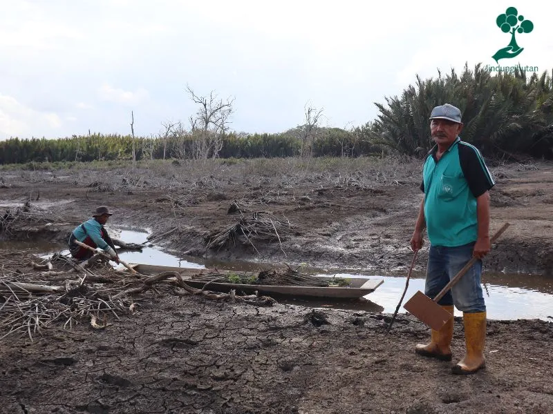 Bontang Mangrove Park