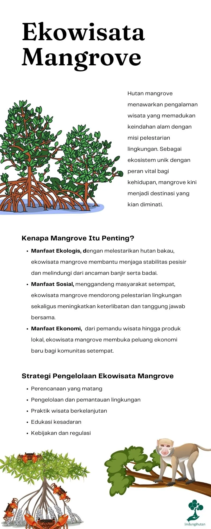 Ekowisata mangrove