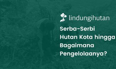 Hutan Kota