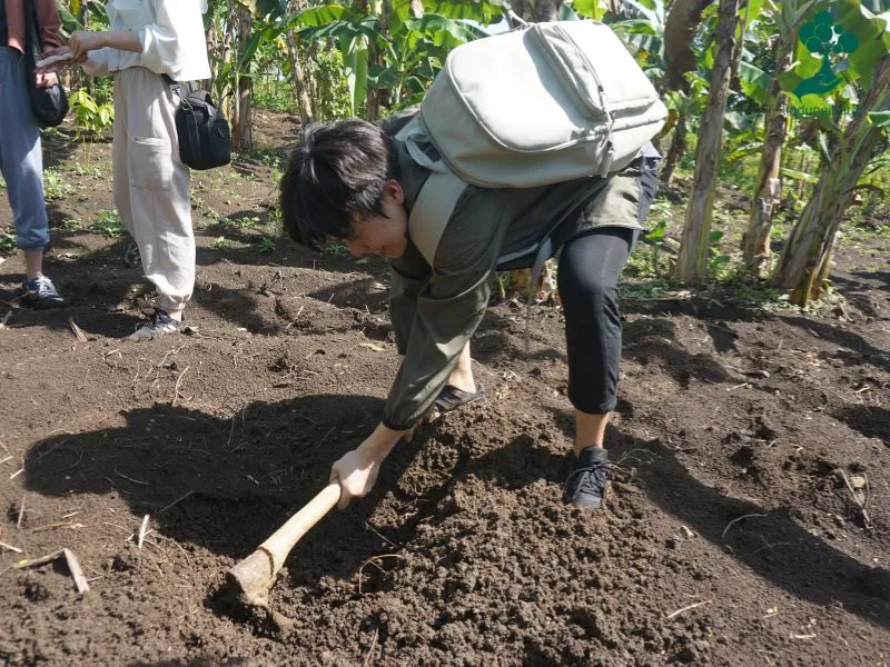 Kadaka menanam pohon alpukat di Kelurahan Jabungan Kota Semarang