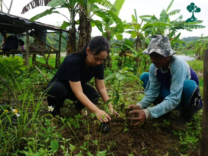 Lado Indonesia menanam pohon