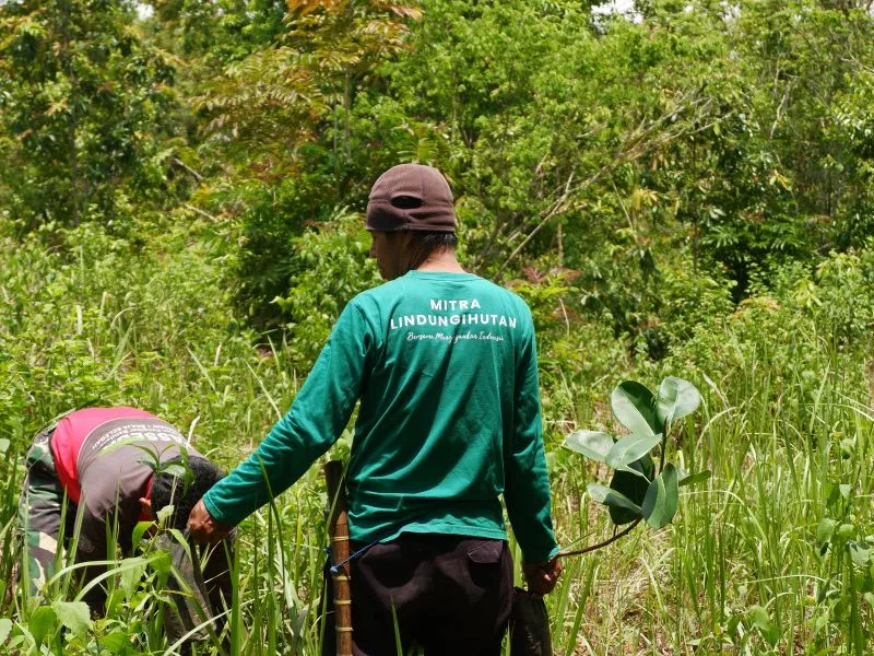 Mitra LindungiHutan di Taman Nasional Way Kambas