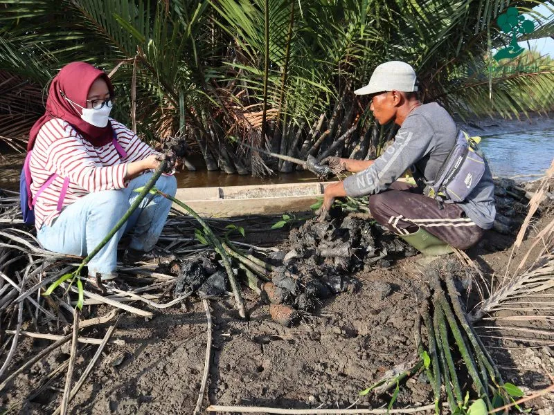 Penanaman Mangrove Rei Skin di Bontang Mangrove Park