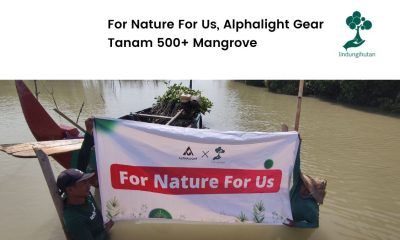 Penanaman mangrove Alphalight Gear