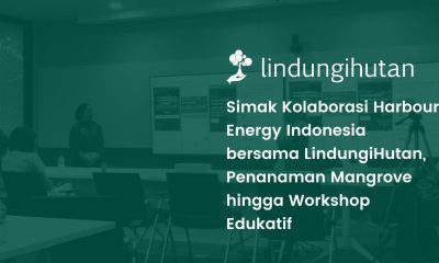 Penanaman mangrove Harbour Energy Indonesia