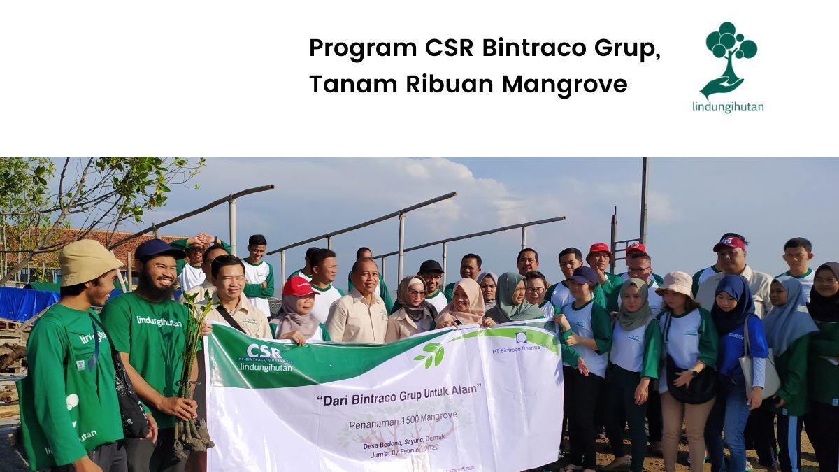 Penanaman mangrove PT Bintraco Dharma Tbk
