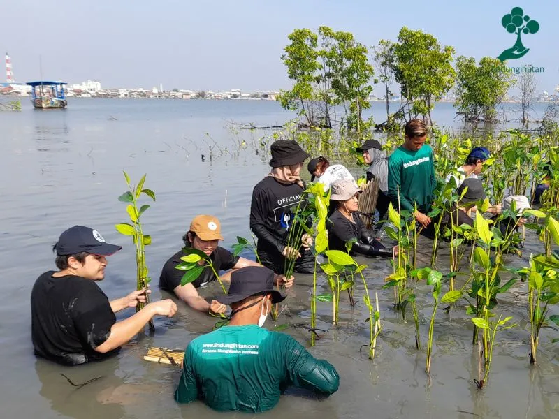 Penanaman mangrove di Tambakrejo Semarang 1