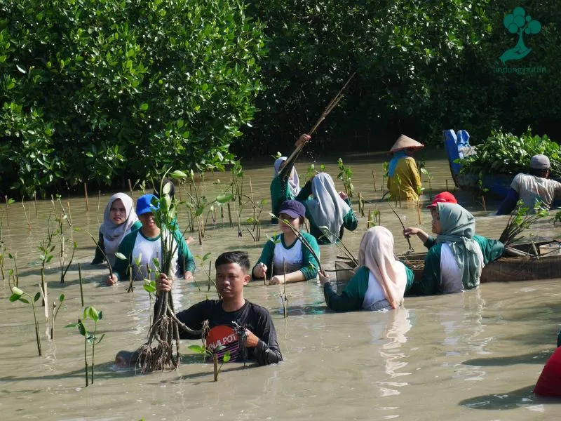 Penanaman mangrove oleh Bintraco Dharma
