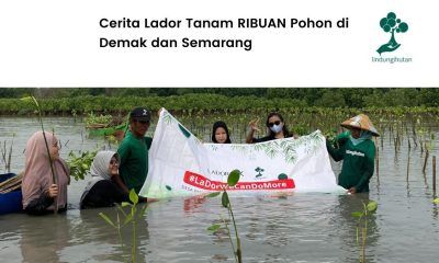 Penanaman pohon Lador Indonesia