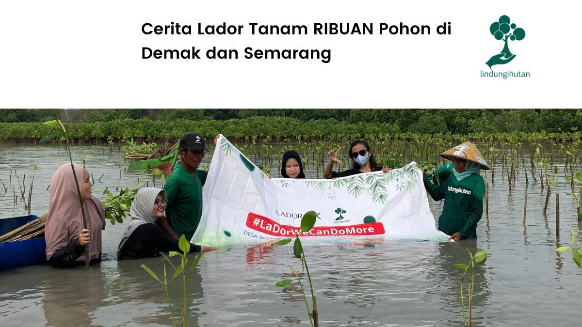Penanaman pohon Lador Indonesia