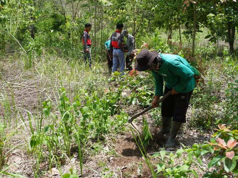 Penanaman pohon di Taman Nasional Way Kambas