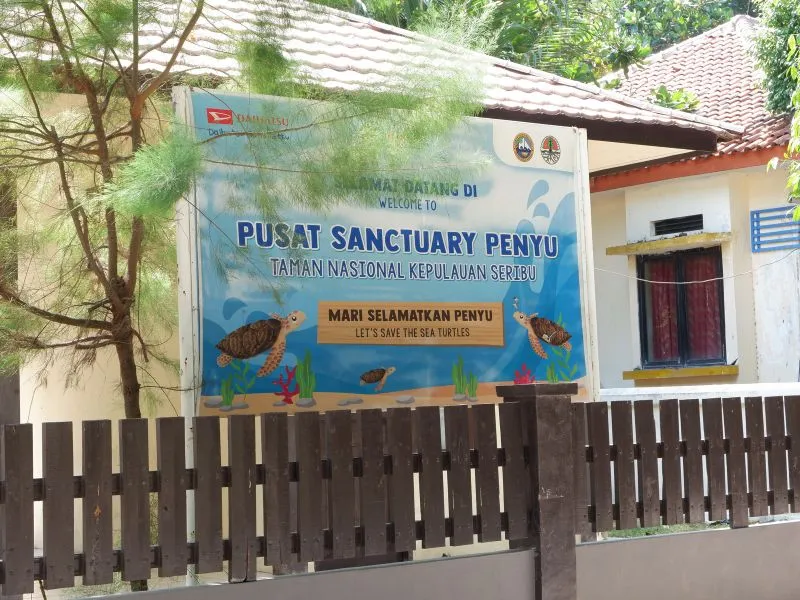 Penangkaran Penyu Pulau Pramuka 2