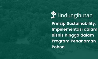 Prinsip sustainability