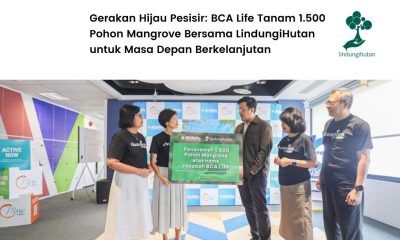 Program ESG penanaman mangrove BCA Life