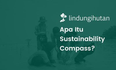 Sustainability compass adalah