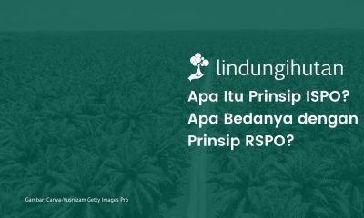 7 Prinsip ISPO adalah