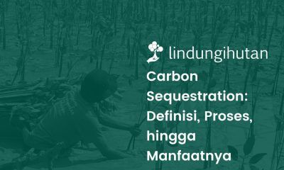 Apa itu carbon sequestration