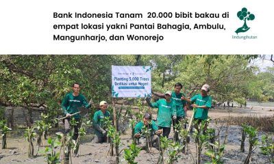 Bank Indonesia Menanam Mangrove
