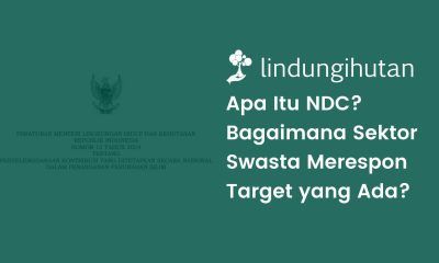 Nationally Determined Contribution adalah