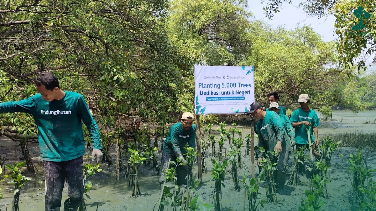 ekowisata mangrove wonorejo surabaya bank indonesia