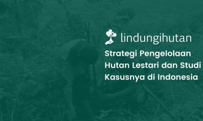 Pengelolaan hutan lestari adalah