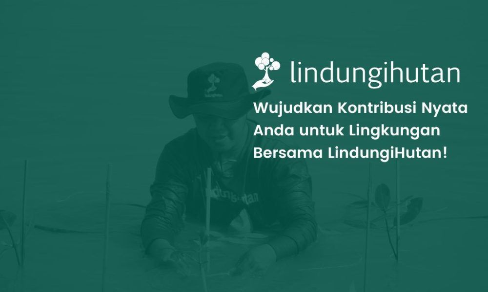Donasi online LindungiHutan