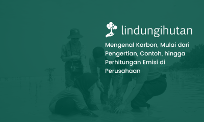 mengenal karbon