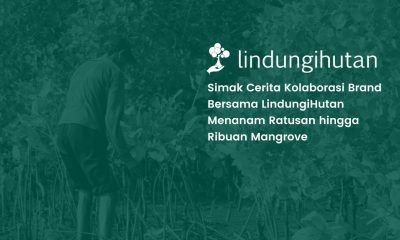 Kolaborasi menanam mangrove brand bersama LindungiHutan